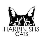 harbin_shs_cats profile picture
