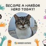 harborhumane profile picture