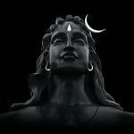 har_har_har_mahadev____ profile picture