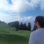 harish.negi25 profile picture