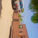 harish_choudhary_9346 profile picture