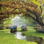 haritha_ramchandar profile picture