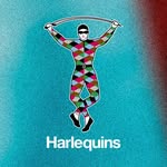 harlequins profile picture