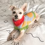 harlowe_baby profile picture