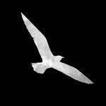 harmonixcollege profile picture