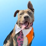 haroldthesuperhero profile picture