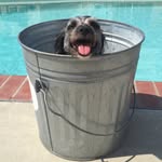 harperkins_ profile picture