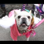 harriettnoir profile picture