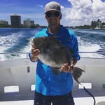 harrisfriedman profile picture