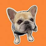 haruta_bonheur profile picture