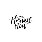 harvestnowchurch_ profile picture
