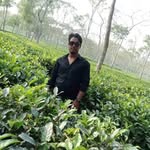 hasan106967 profile picture
