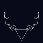 hashtagstagg profile picture