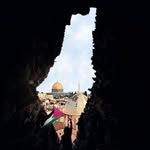 hassan_hani_zidan profile picture
