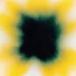 hassanrahim profile picture
