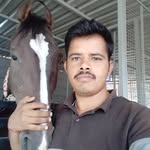 hathisinghlorta profile picture