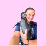 hattie.hall profile picture