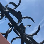 hattirex profile picture