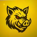 haulhogsdumpsters profile picture