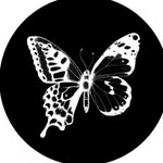 hauz_of_dust profile picture