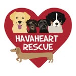 havaheart_rescue profile picture
