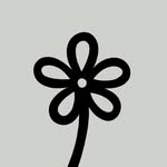 havicruz profile picture