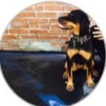 haydenslater profile picture