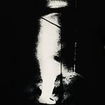 hayes_bradley profile picture