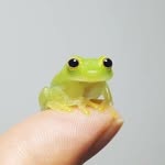 hblav profile picture