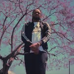 hdtayfilms profile picture
