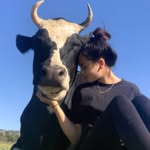 healingsoulsrescue profile picture