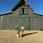 hearstwickranch profile picture
