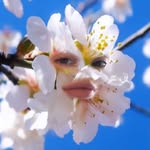 heatherdonna profile picture