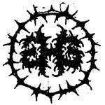 heavensgate_fla profile picture