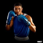 hebertwilianboxe profile picture