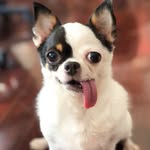 hecternhoney profile picture