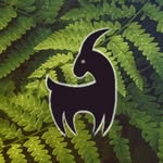heidruncrafts profile picture