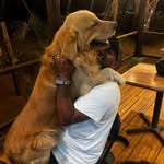 heiner_castillo___m profile picture