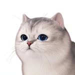 helenfei2022 profile picture