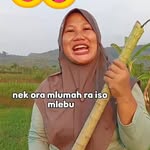 helenmagerr profile picture