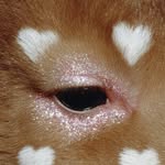 helenmyyy profile picture