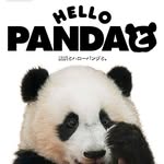 hellopanda_book profile picture