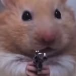 heloves_spida profile picture
