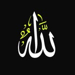 hemex_quran profile picture
