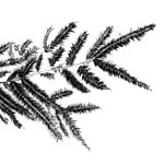 hemlock.productions profile picture