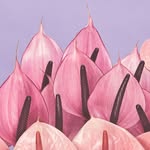 henrikbulow profile picture