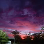 henrique21248 profile picture