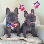 henryandpenny profile picture