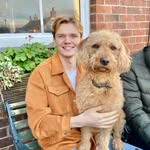 henryjjwilkinson profile picture