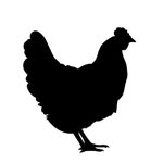 henstoothproductions profile picture